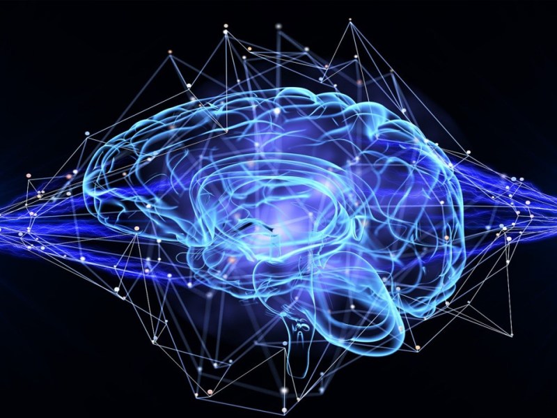 (STROKE) O ICTUS: L’IMPORTANZA DELL’ESERCIZIO FISICO&nbsp;ADATTATO