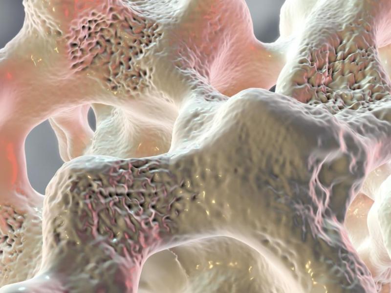 EFFETTI DELL’ESERCIZIO FISICO SUL TESSUTO&nbsp;OSSEO