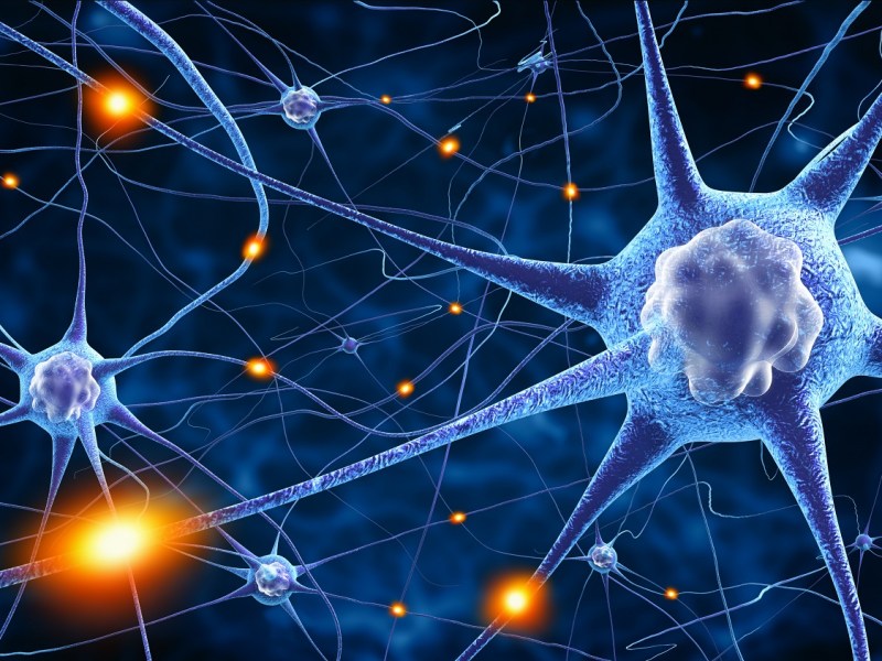 BIOFEEDBACK, RECUPERO FUNZIONALE NEL CALCIO E NELLA FASE POST LOCKDOWN: FOCUS SERIE A E NELLO SPORT DILETTANTISTICO/AMATORIALE
