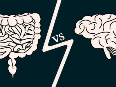 LA STRETTA RELAZIONE TRA IL NOSTRO INTESTINO E&nbsp;CERVELLO