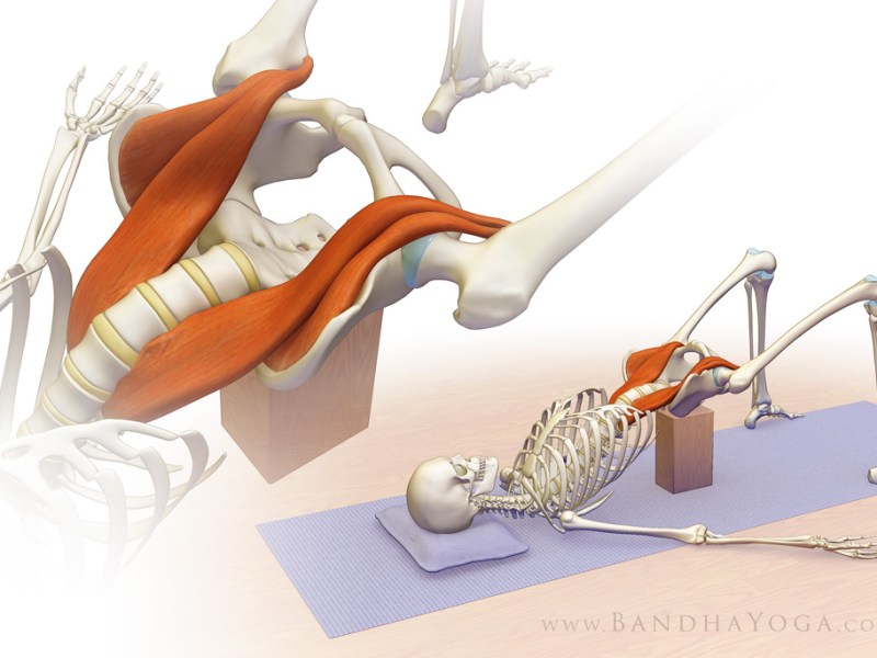 MUSCOLO PSOAS: STABILITA’ E DINAMISMO, TRA TERRA, CIELO E&nbsp;SOPRAVVIVENZA